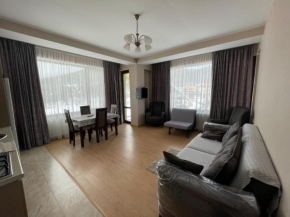 One bedroom flat 502 , Bakuriai Villa Deluxe